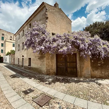 Carrales Guest°house نوورو